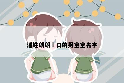潘姓朗朗上口的男宝宝名字