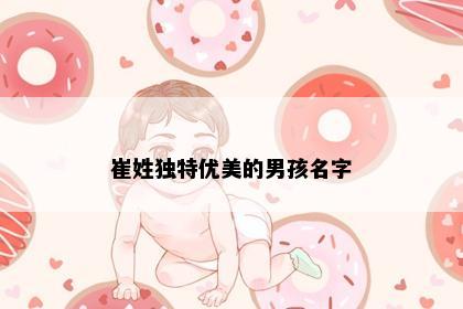 崔姓独特优美的男孩名字
